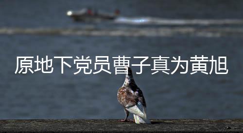 原地下党员曹子真为黄旭华送上挽联——一位老党员的深情缅怀