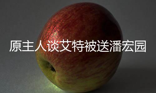 原主人谈艾特被送潘宏园区原因，背后隐藏的真相揭秘