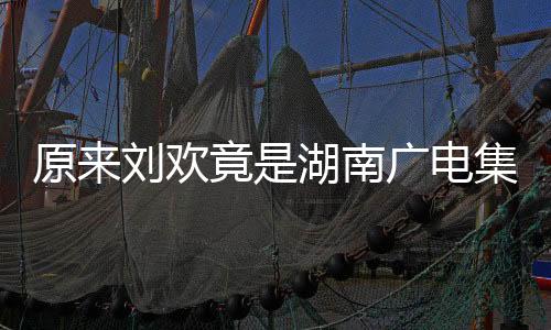 原来刘欢竟是湖南广电集团的一位家属，深度探究其背后的故事