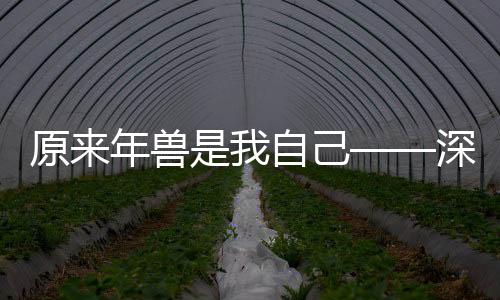 原来年兽是我自己——深度探究一种文化现象的背后