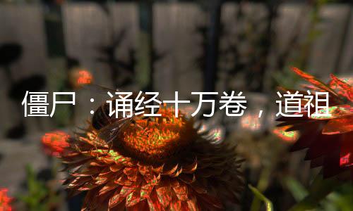 僵尸：诵经十万卷，道祖下茅山