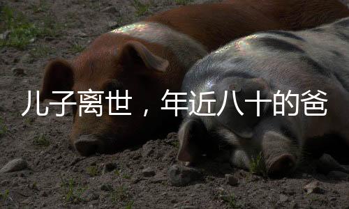 儿子离世，年近八十的爸爸坚持给儿子擦车，无尽父爱，感动人心