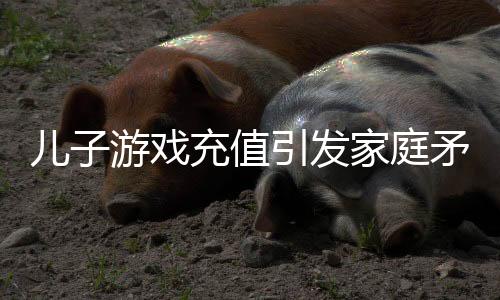 儿子游戏充值引发家庭矛盾，母亲愤怒爬至高压电塔引关注