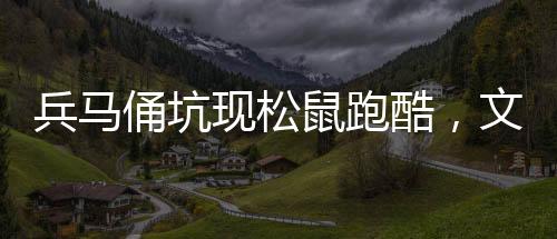 兵马俑坑现松鼠跑酷，文化遗址新景象