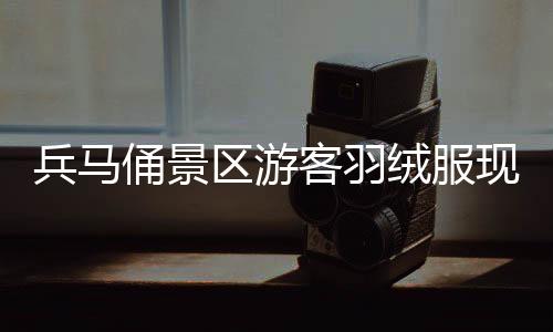 兵马俑景区游客羽绒服现象，冬日寒风中的暖心细节观察