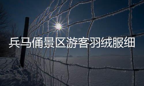 兵马俑景区游客羽绒服细节观察，寒冬中的暖心故事