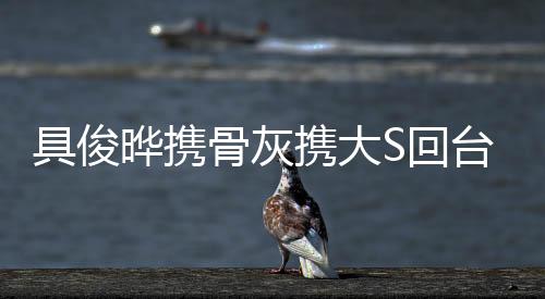 具俊晔携骨灰携大S回台湾，一段深情缅怀的旅程