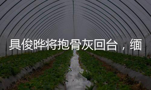 具俊晔将抱骨灰回台，缅怀亡妻，跨越万里的情感寄托