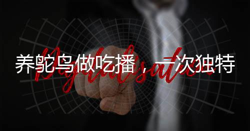 养鸵鸟做吃播，一次独特的探索之旅