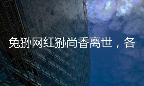 兔狲网红狲尚香离世，各界缅怀与纪念动物明星的生命旅程