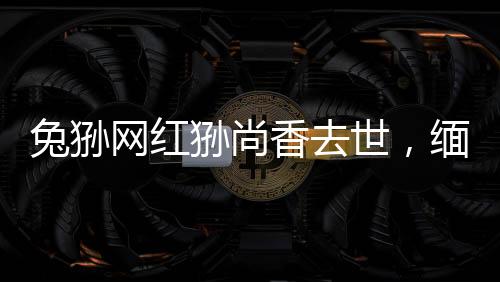 兔狲网红狲尚香去世，缅怀一只传奇的生灵