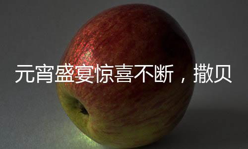 元宵盛宴惊喜不断，撒贝宁与智能机器人共度佳节——探究新时代人与智能共生之道