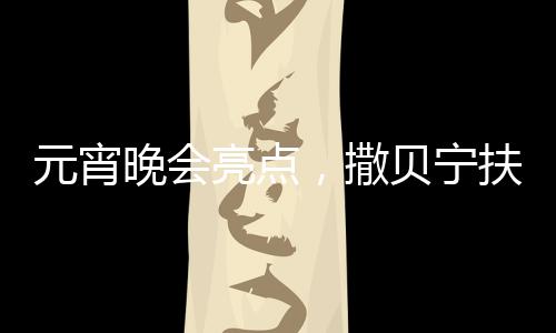 元宵晚会亮点，撒贝宁扶着机器人亮相舞台