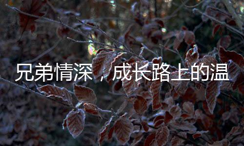 兄弟情深，成长路上的温情故事——弟弟被姐姐们联手制服的那些事