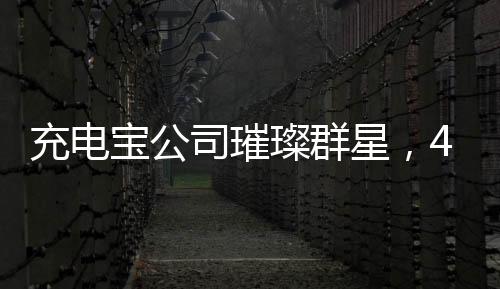 充电宝公司璀璨群星，494名员工年入超百万，共创辉煌