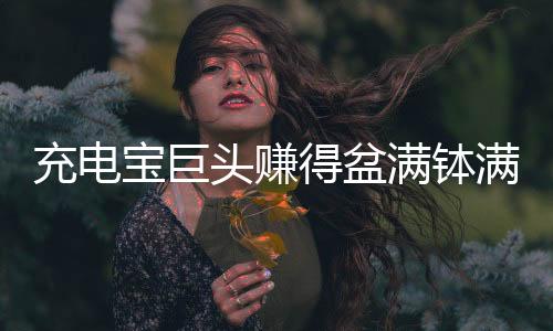 充电宝巨头赚得盆满钵满，揭秘其成功背后的故事
