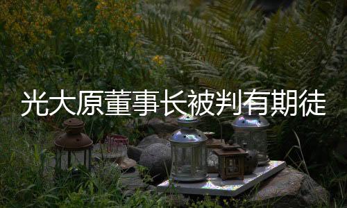 光大原董事长被判有期徒刑十五年