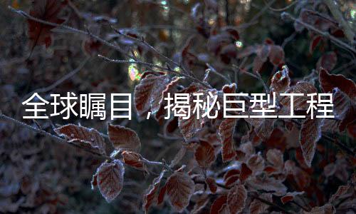 全球瞩目，揭秘巨型工程背后的故事——这就是我儿子打造的世界级奇迹