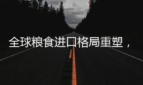 全球粮食进口格局重塑，重心转向南美，趋势与挑战分析