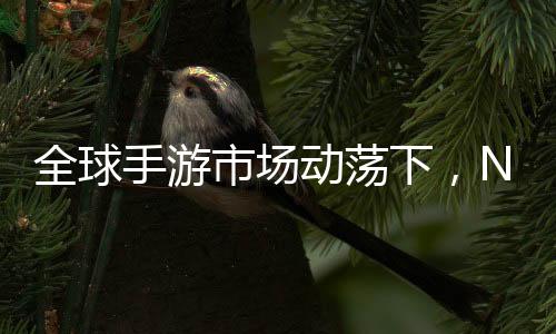 全球手游市场动荡下，NO.1手游公司自救成功的奇迹篇章