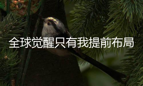 全球觉醒只有我提前布局未来