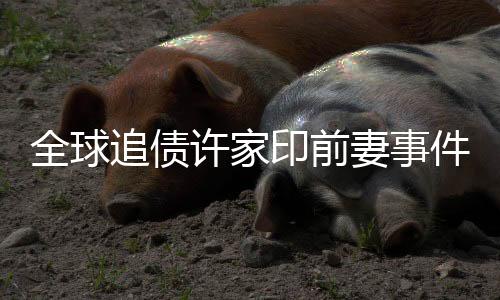 全球追债许家印前妻事件