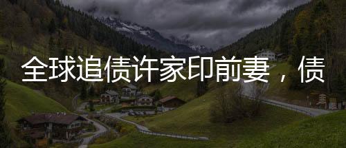 全球追债许家印前妻，债务纠纷背后的复杂故事