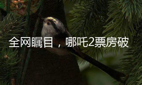 全网瞩目，哪吒2票房破百亿，引领新一轮观影热潮