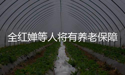 全红婵等人将有养老保障金了，一大步迈向运动员福利待遇的未来