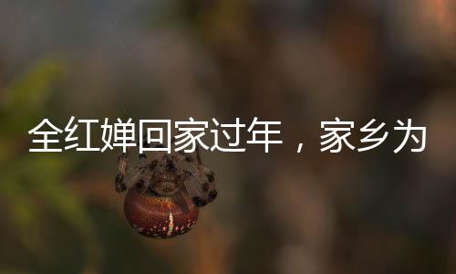全红婵回家过年，家乡为安保加码设立反无人机设备