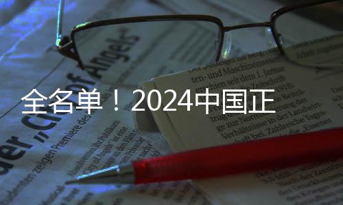 全名单！2024中国正能量网络精品揭晓
