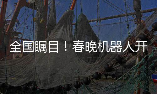 全国瞩目！春晚机器人开启全新打工时代