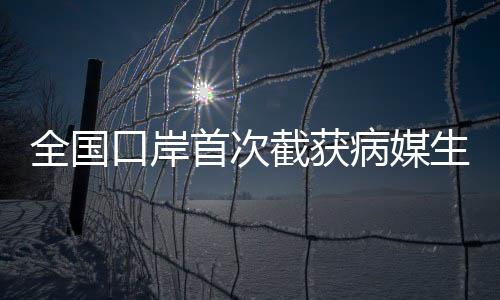 全国口岸首次截获病媒生物印度翠蝇，强化防疫防线的新挑战