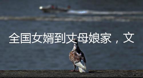 全国女婿到丈母娘家，文化差异与融合的观察分析