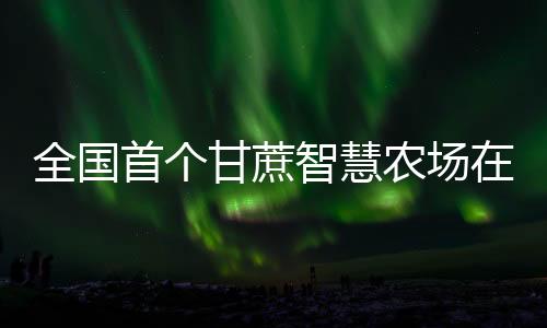 全国首个甘蔗智慧农场在广西崇左建成