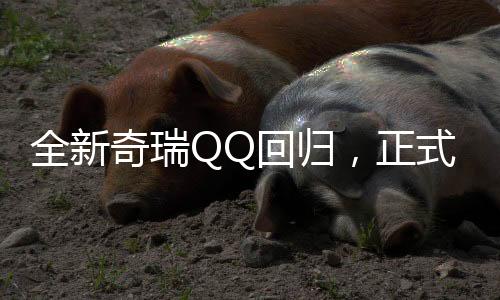 全新奇瑞QQ回归，正式更名多米——揭秘未来的微型车之星