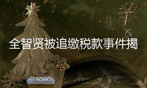 全智贤被追缴税款事件揭秘