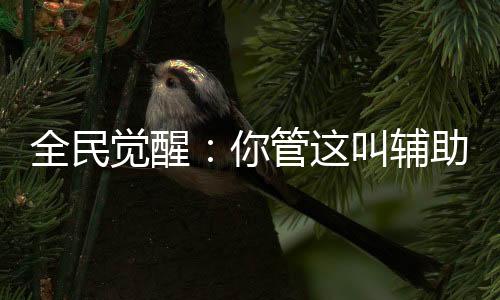 全民觉醒：你管这叫辅助系？