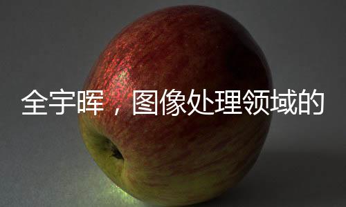 全宇晖，图像处理领域的耀眼之星黯然陨落