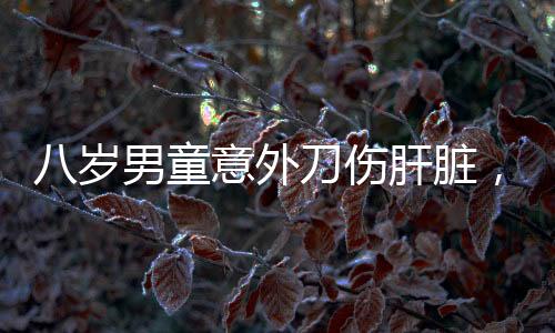 八岁男童意外刀伤肝脏，紧急手术成功挽救生命