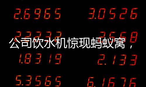 公司饮水机惊现蚂蚁窝，卫生状况亟待改善