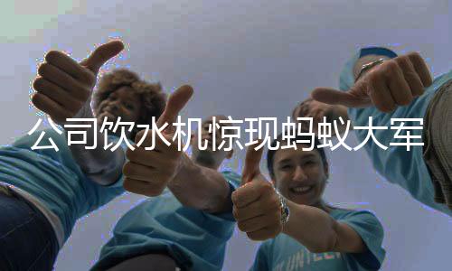 公司饮水机惊现蚂蚁大军，环境卫生的严峻挑战