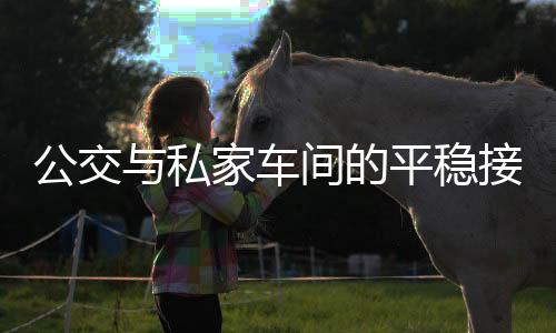 公交与私家车间的平稳接力，交通系统的协同之舞