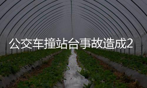 公交车撞站台事故造成2死1伤，引起社会关注