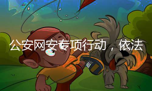 公安网安专项行动，依法打击网络黑客犯罪