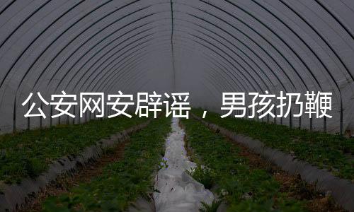 公安网安辟谣，男孩扔鞭炮赔580万系谣言