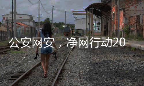 公安网安，净网行动2024取得显著成效，助力网络空间安全建设新篇章