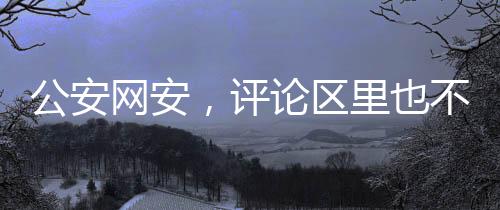 公安网安，评论区里也不可造谣