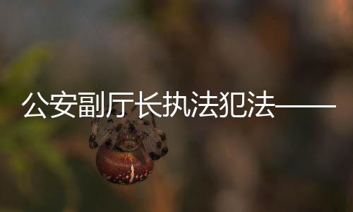 公安副厅长执法犯法——权威调查揭秘事件内幕