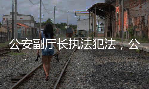 公安副厅长执法犯法，公众正义与法治精神的较量（标题）
